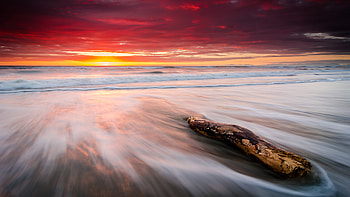 Leithfield Beach, beach, graphy, new-zealand, nature, beautiful-places HD wallpaper