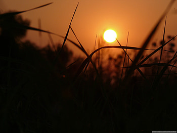 Sunset, other, sky, nature, orange, beauty, nights HD wallpaper