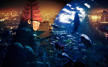 Olokun, night, city, lights, fish, goddess, water, ocean HD wallpaper