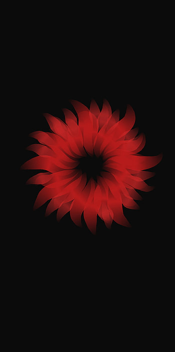 Flower, red, herbaceous plant, art, flowers, plants HD phone wallpaper