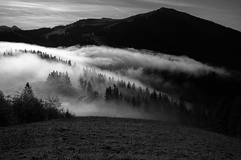 Nature, Trees, Mountain, Fog, Hills, Bw, Chb HD wallpaper