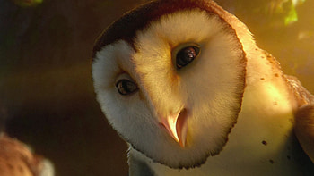Legend of the Guardians: The Owls of Ga'Hoole, Mesmerizing , Captivating movie, Majestic owls HD wallpaper