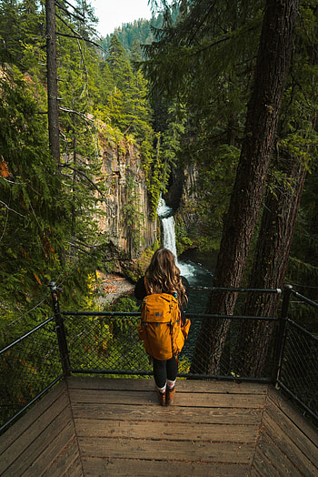 Relax, exploration, outdoor, waterfall, nature HD phone wallpaper