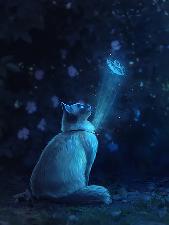 Art, Shine, Light, Cat, Butterfly, Illusion HD phone wallpaper