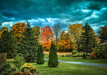 Autumn, garden, trees HD wallpaper