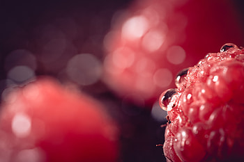 macro HD wallpaper