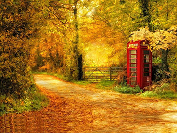 Autumn Lane, trees, autumn, colors, lane HD wallpaper