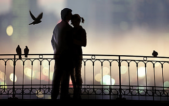 Love Birds, love, birds, couple HD wallpaper