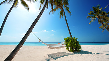 Beach, holiday, summer, palm trees, Island HD wallpaper
