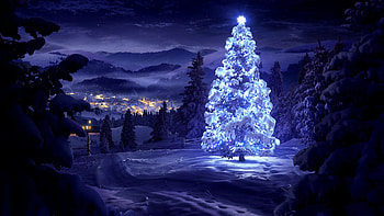 Merry Christmas Tree HD wallpaper
