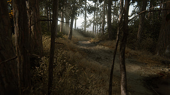 The Farm (Scenery 2), The Last of Us Part II HD wallpaper