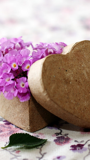 Best Love, Heart Box, Flowers HD phone wallpaper