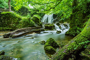 A tranquil waterfall flowing through a serene, moss-covered forest scene. HD wallpaper