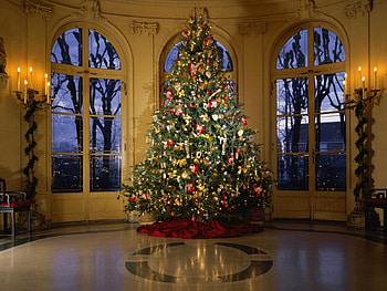 Holidays, New Year, Fir-Trees, Christmas, Xmas HD wallpaper