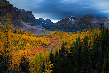 Landscape, Nature, Trees, Sky, Mountains, View HD wallpaper