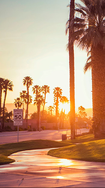 Coachella Sunsets, Best Sunsets, HM Loves HD phone wallpaper