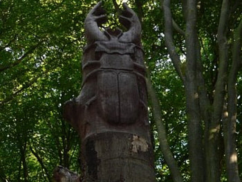 Sculpture in a dead tree, woods, art, sculpture, nature, dead, tree HD wallpaper