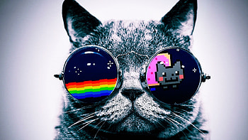 Galaxy Cat, Captivating , Cosmic art, Stellar HD wallpaper
