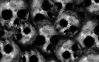 Scary, skulls, dark HD wallpaper