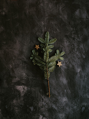 Holidays, Stars, New Year, Decorations, Branch, Christmas Tree HD phone wallpaper