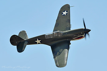 Flying Tiger, airplanes, aircraft, flying tigers, ww ii, planes, fighter aircraft, fighters HD wallpaper
