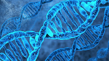 DNA , Genetic study, Molecular biology, Scientific visuals HD wallpaper