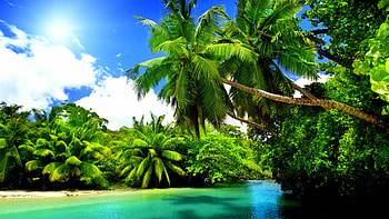 Tropical beach, Summer HD wallpaper
