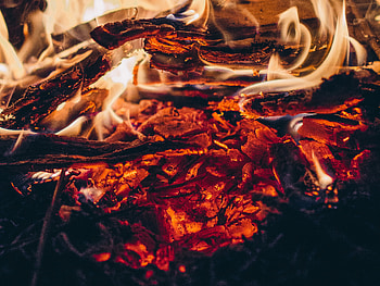 Fire, Bonfire, Coals, Miscellanea, Miscellaneous, Ash HD wallpaper