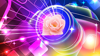 Vibrant Pink Rose, rays, bokeh, color, glow, stars, rose, pink, abstract, flower, bright, lights HD wallpaper