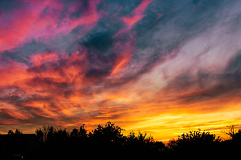 Nature, Trees, Sunset, Sky, Multicolored, Motley HD wallpaper
