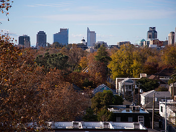 Sacramento's tree abundance, Urban greenery, City forestry, Leafy neighborhoods HD wallpaper