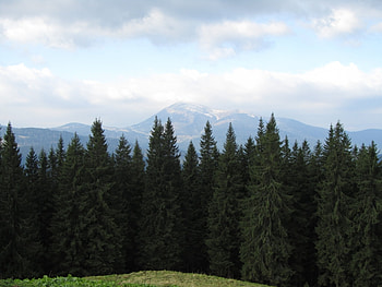 Landscape, Trees, Mountains HD wallpaper