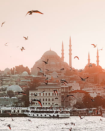 Istanbul skyline at sunset with birds soaring above, highlighting iconic architecture. HD phone wallpaper