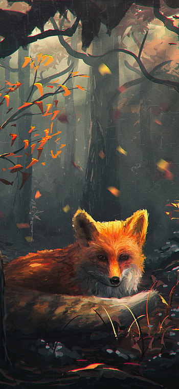 Animal fox, Nature's beauty, Wild creature, Wilderness HD phone wallpaper