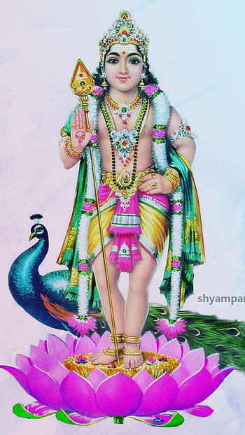 Murugan, sanatanaya, devotional, bhakti HD phone wallpaper
