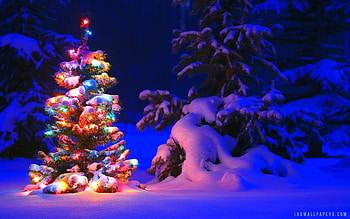 computer's with Christmas Lights Snow . HD wallpaper