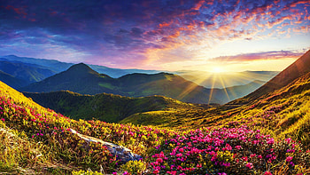 Spring in the Mountains, California, usa, wildflowers, hills, clouds, landscape, sky, sun HD wallpaper