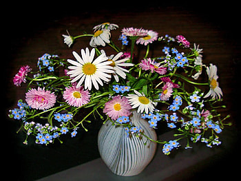Flowers, still life, graphy, vase, daisies HD wallpaper