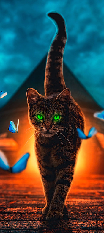 Cat Magical Walk , art, green, butterfly, tail, design, animal, , eyes, emerald HD phone wallpaper