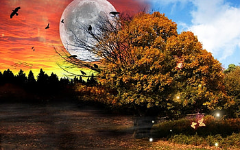 Dream and Nightmare, dark forest, crows, butterfly, moon, trees, nature, ravens HD wallpaper