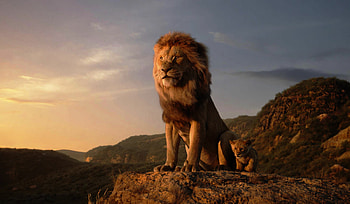 The Lion King, Ultra visuals, Nostalgic , Classic animation HD wallpaper