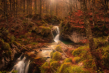 Nature, Autumn, Waterfall, Forest, Creek, Brook HD wallpaper