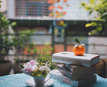 Food, Books, Light, Light Coloured, Table, Reading, Mandarin, Tangerine HD wallpaper