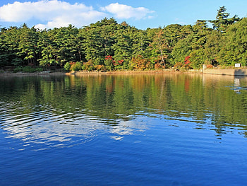 Nature, Rivers, Trees, Autumn, Shore, Bank HD wallpaper