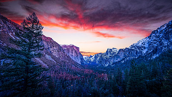 Mountains, forest, twilight, Yosemite Valley HD wallpaper