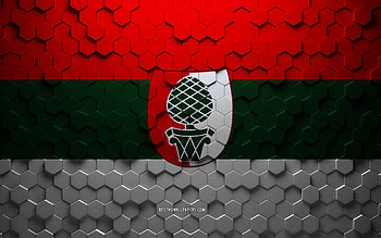 Flag of Augsburg, honeycomb art, Augsburg hexagons flag, Augsburg, 3d hexagons art, Augsburg flag HD wallpaper