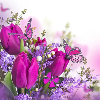 Purple tulips, Tulips, Butterfly, Bouquet, Freshness HD wallpaper