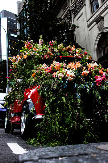 Flowers, Bouquets, Car HD phone wallpaper