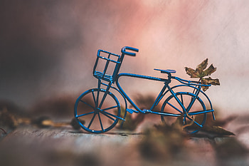 macro HD wallpaper