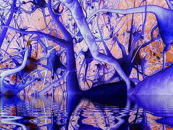 Connection in brain, shadow, violet, connection, water, brain, cell HD wallpaper